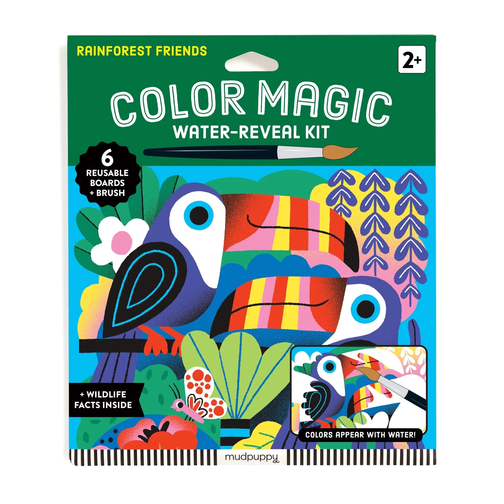 Mud Puppy | Colour Magic - Rainforest