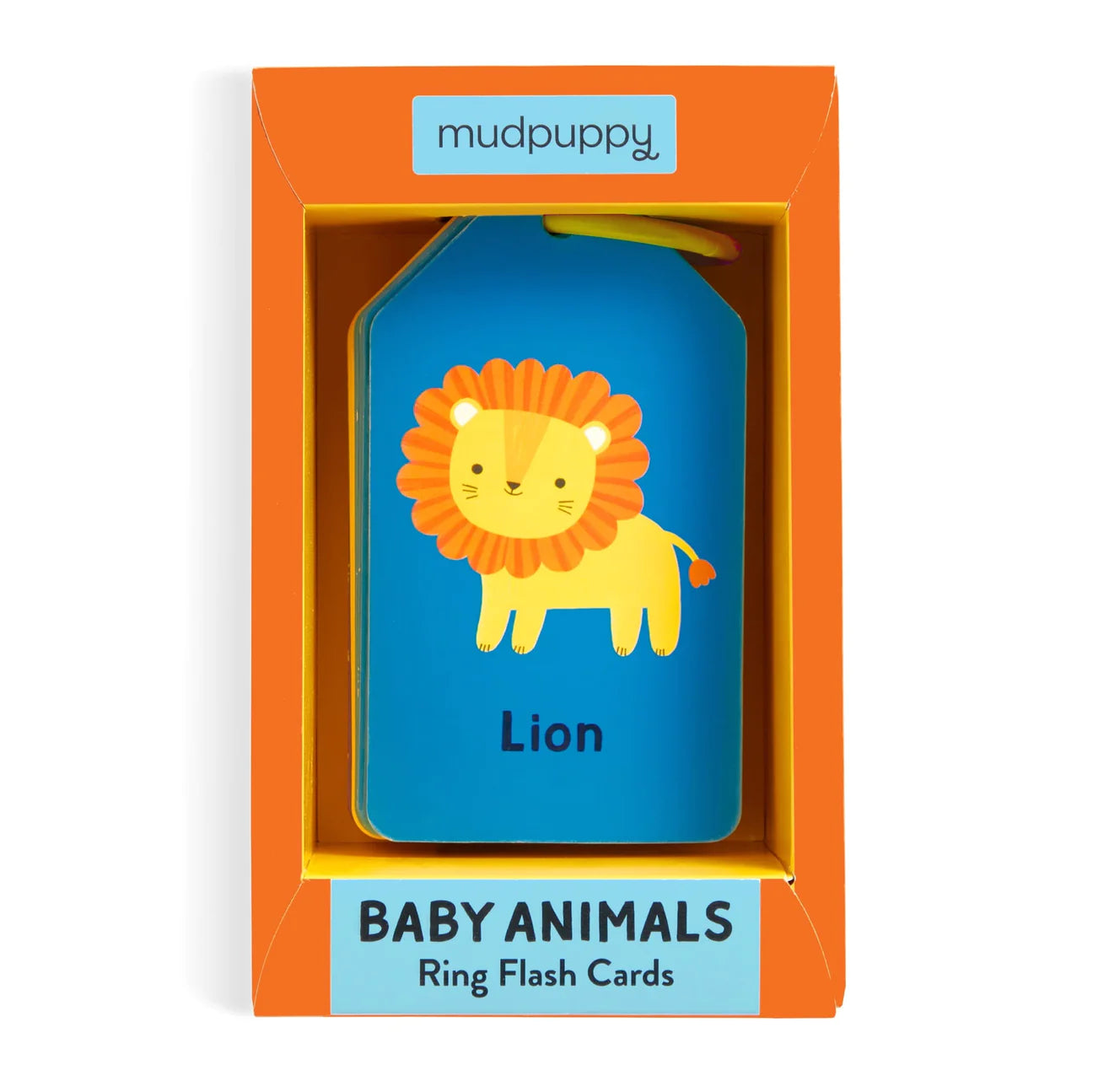 Mud Puppy | Flash Cards - Baby Animal's