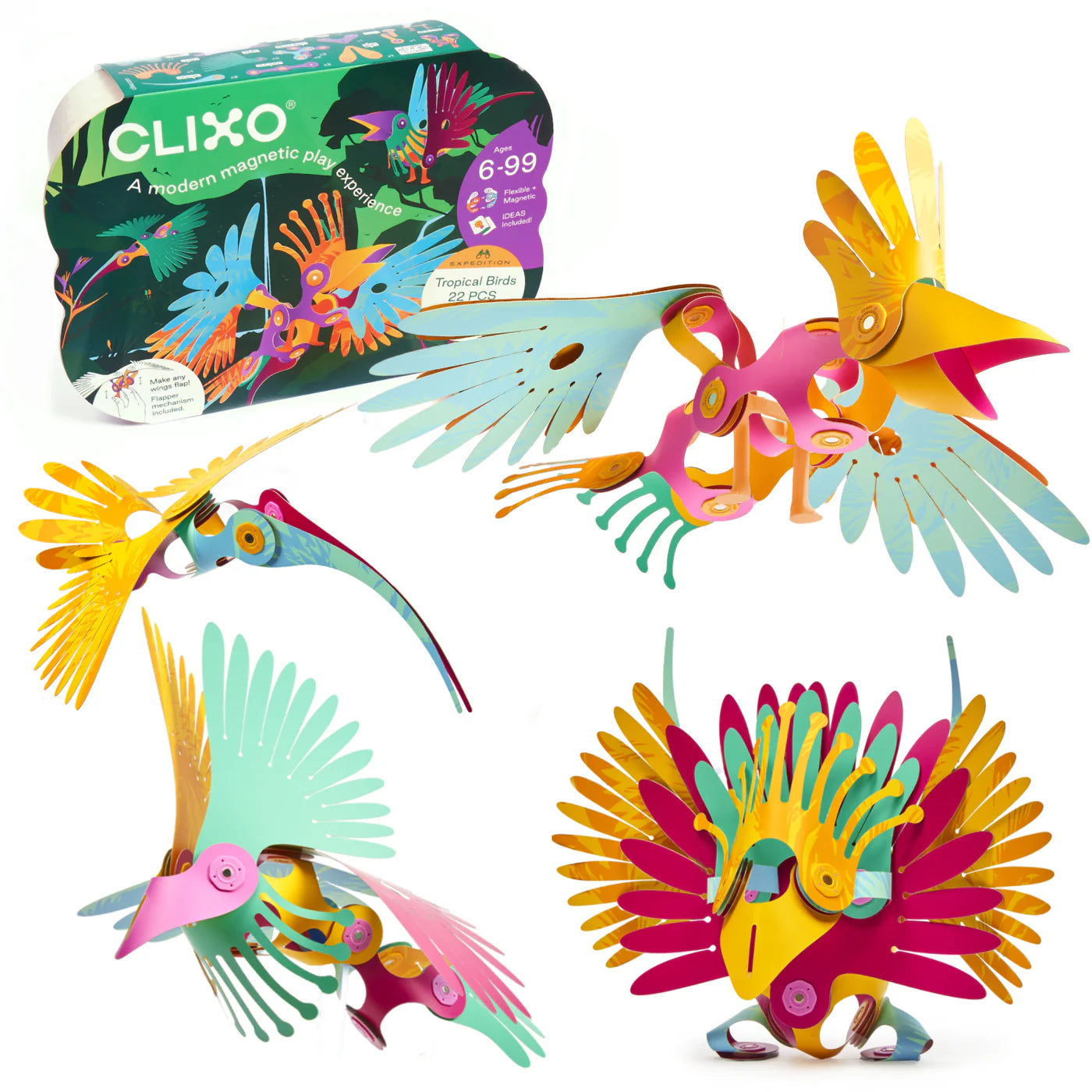 Clixo | Tropical Birds - 22pc