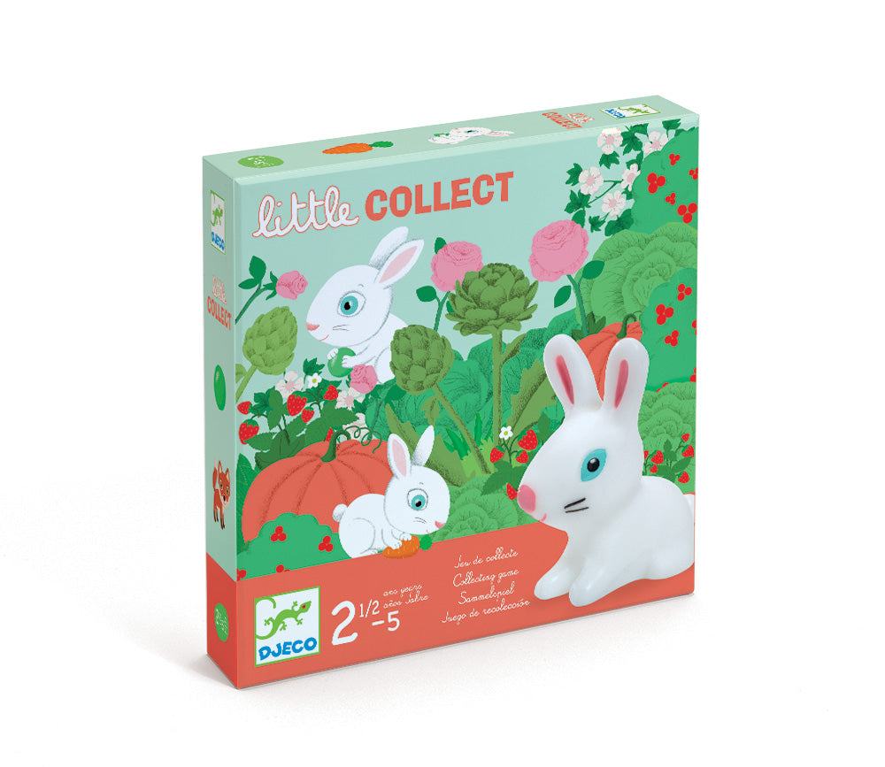 Djeco | Little Collect