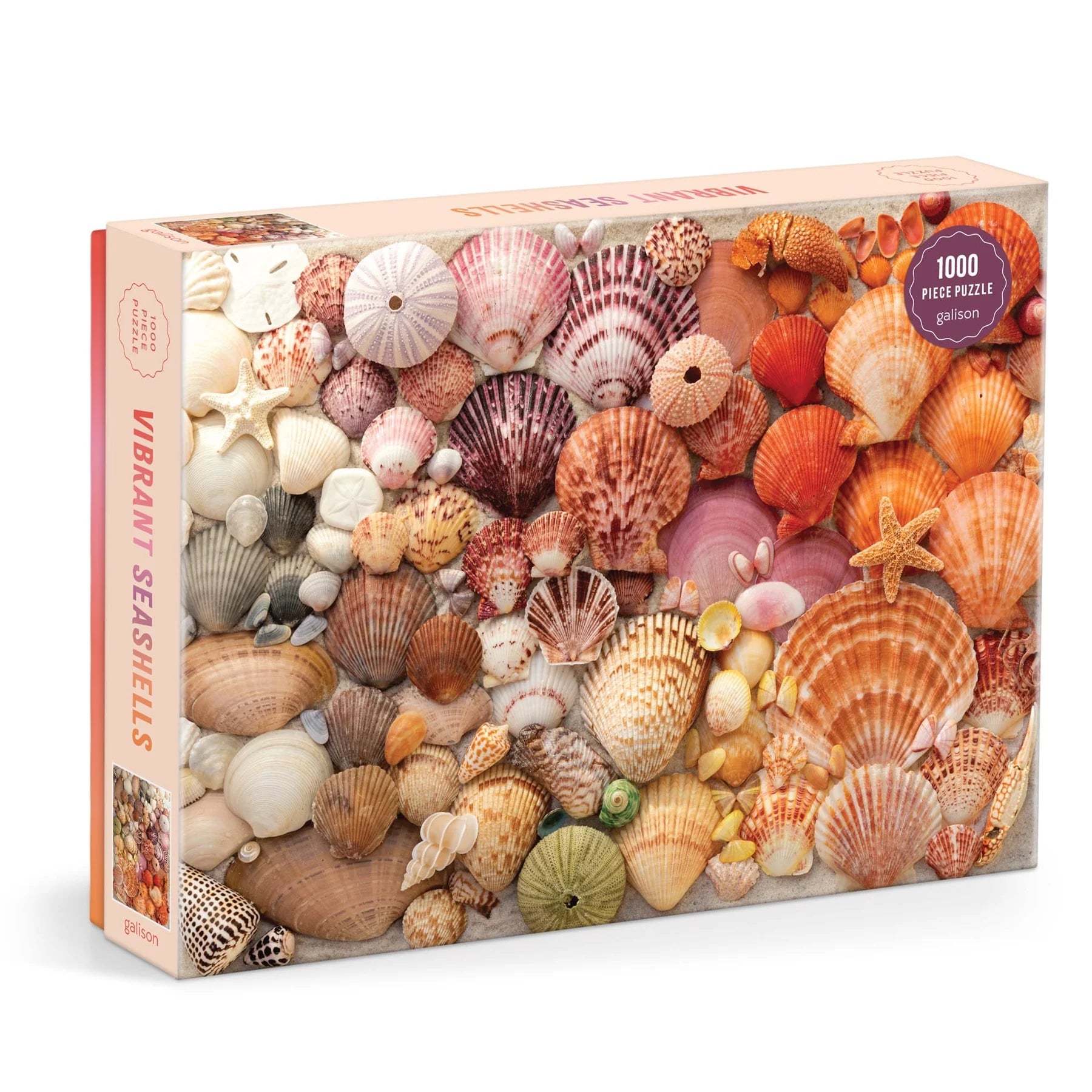 Galison | 1000pc Puzzle - Vibrant Seashells