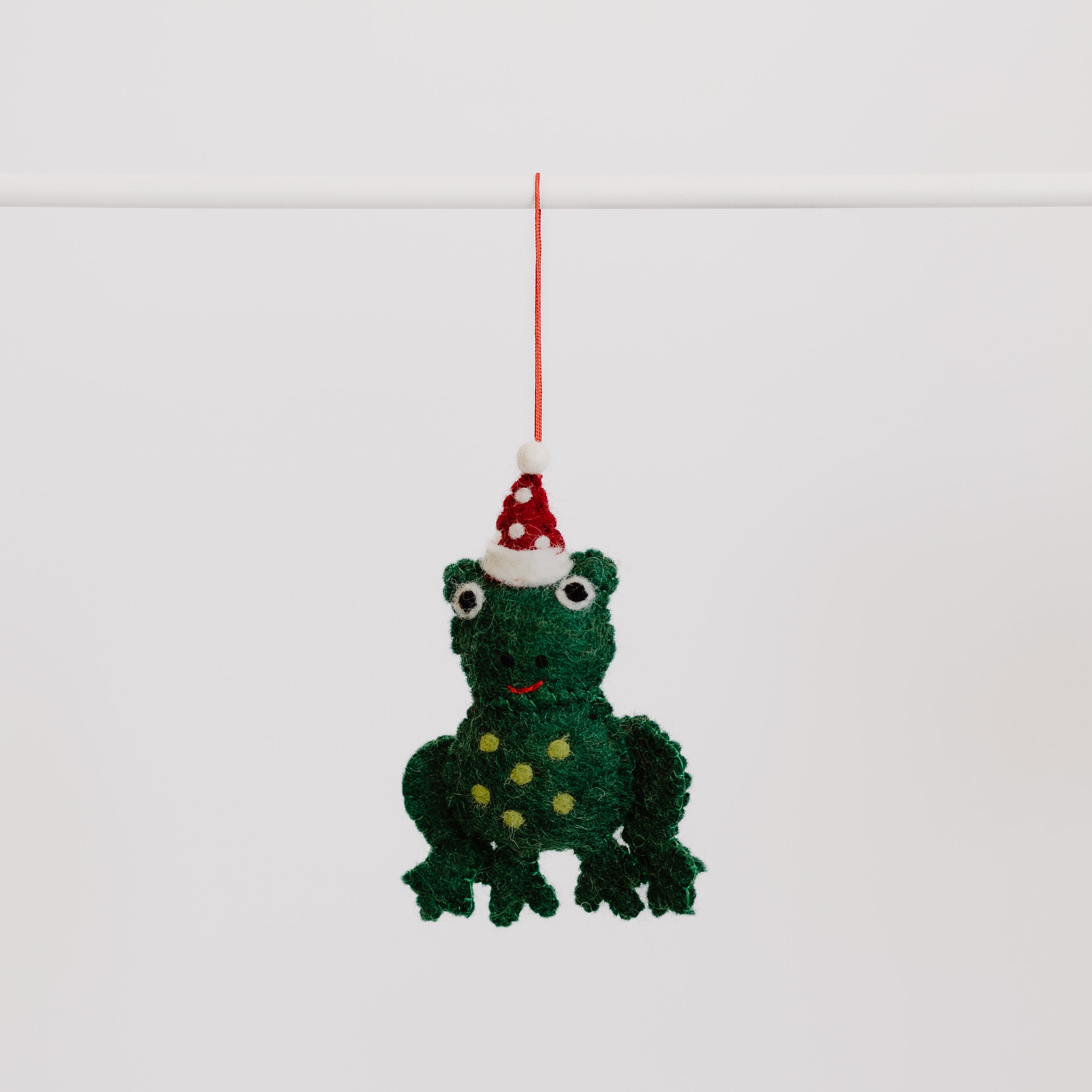 Pashom | Hanging Decoration - Frog