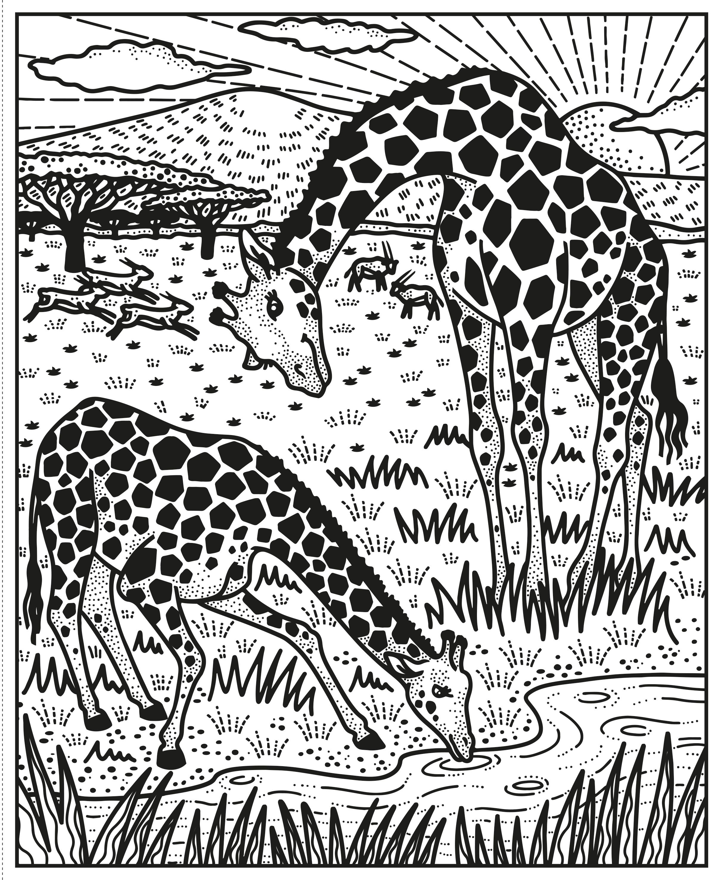 Usborne Books | Magic Painting Book - Wild Animals