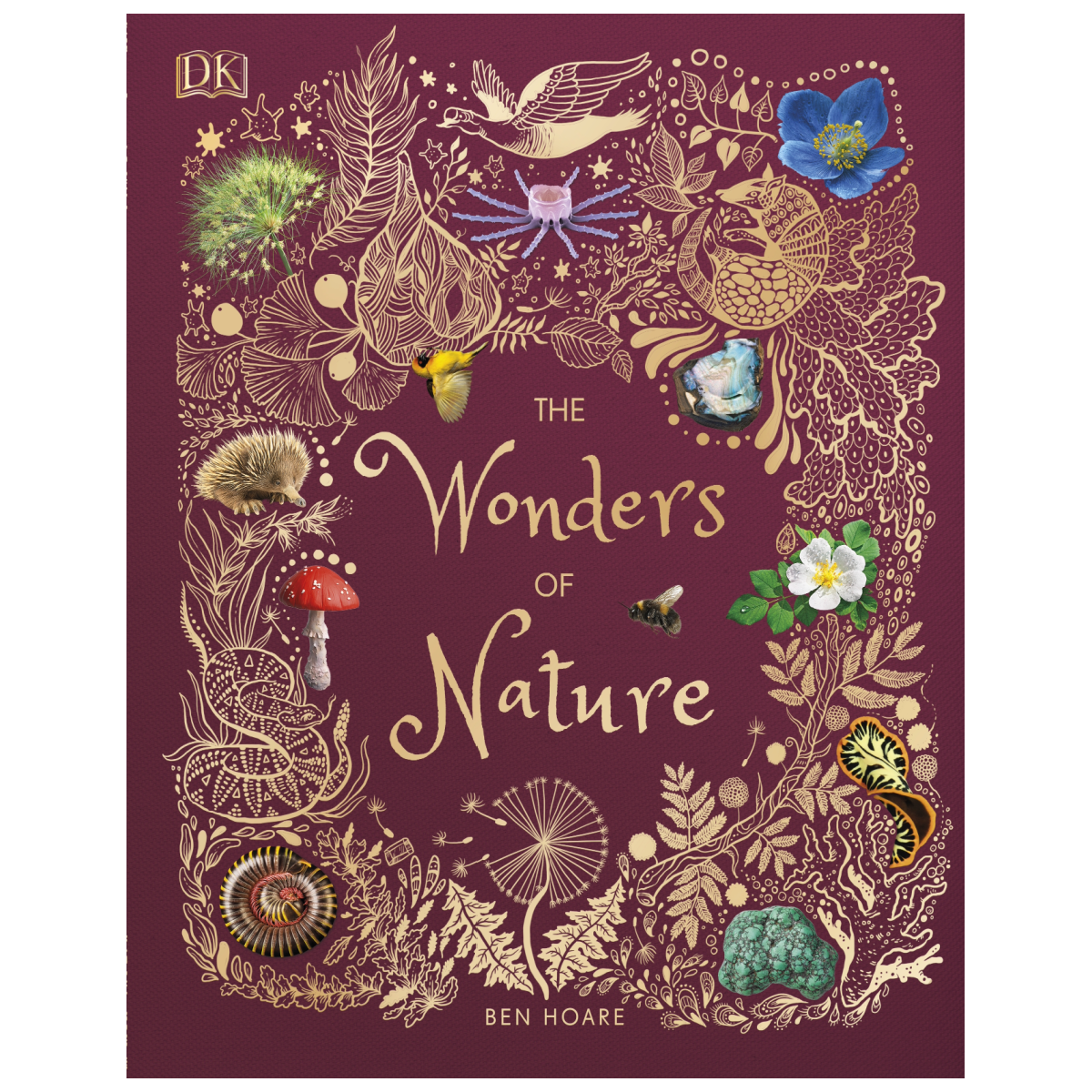The Wonders of Nature