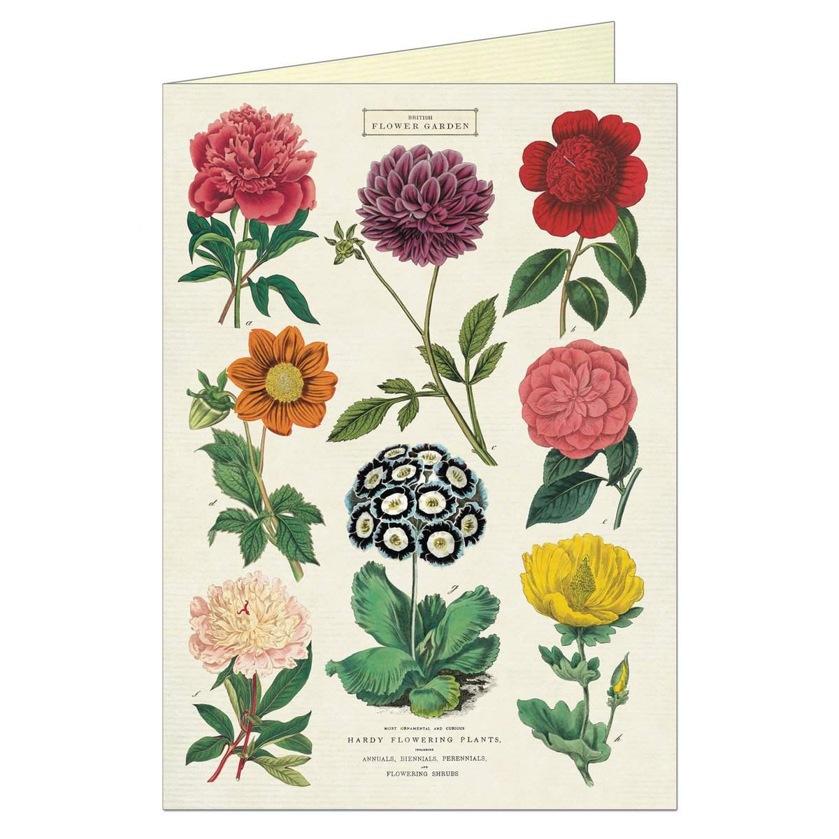 Botanica Card