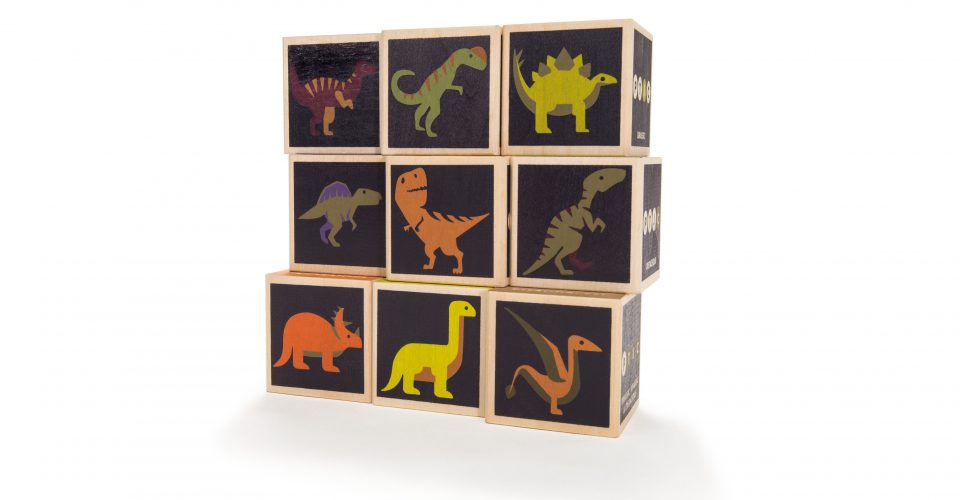 Wooden Blocks | Dinosaurs - 9pc