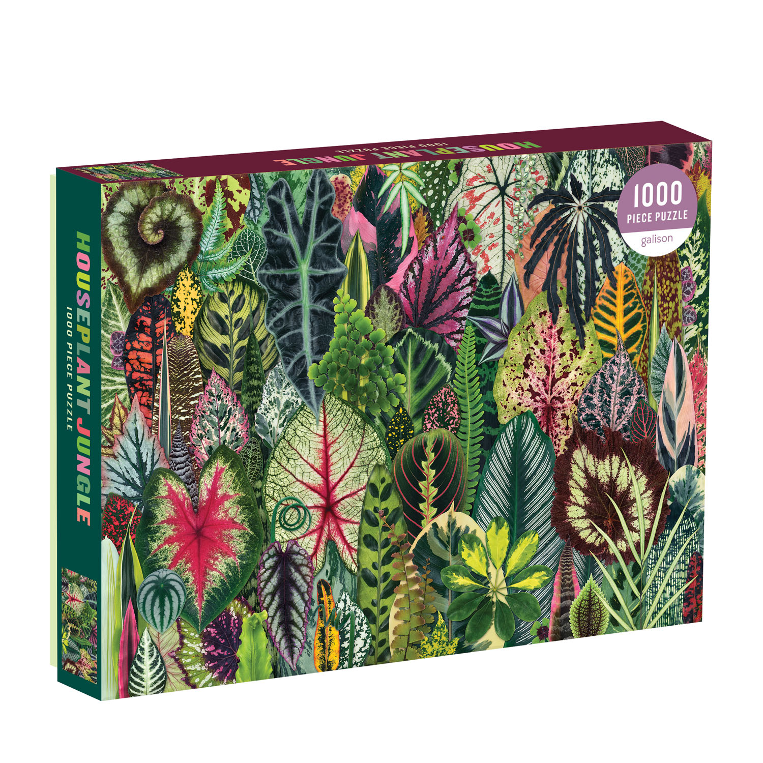 Galison | 1000pc Puzzle - Houseplant Jungle