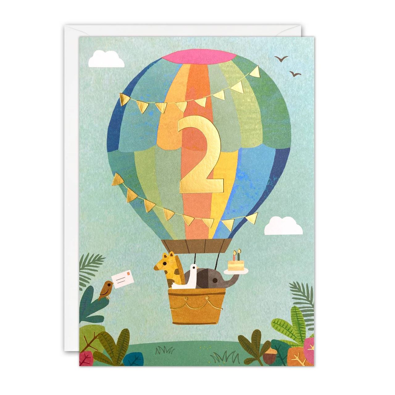 Hot Air Balloon Birthday Card - Age 2