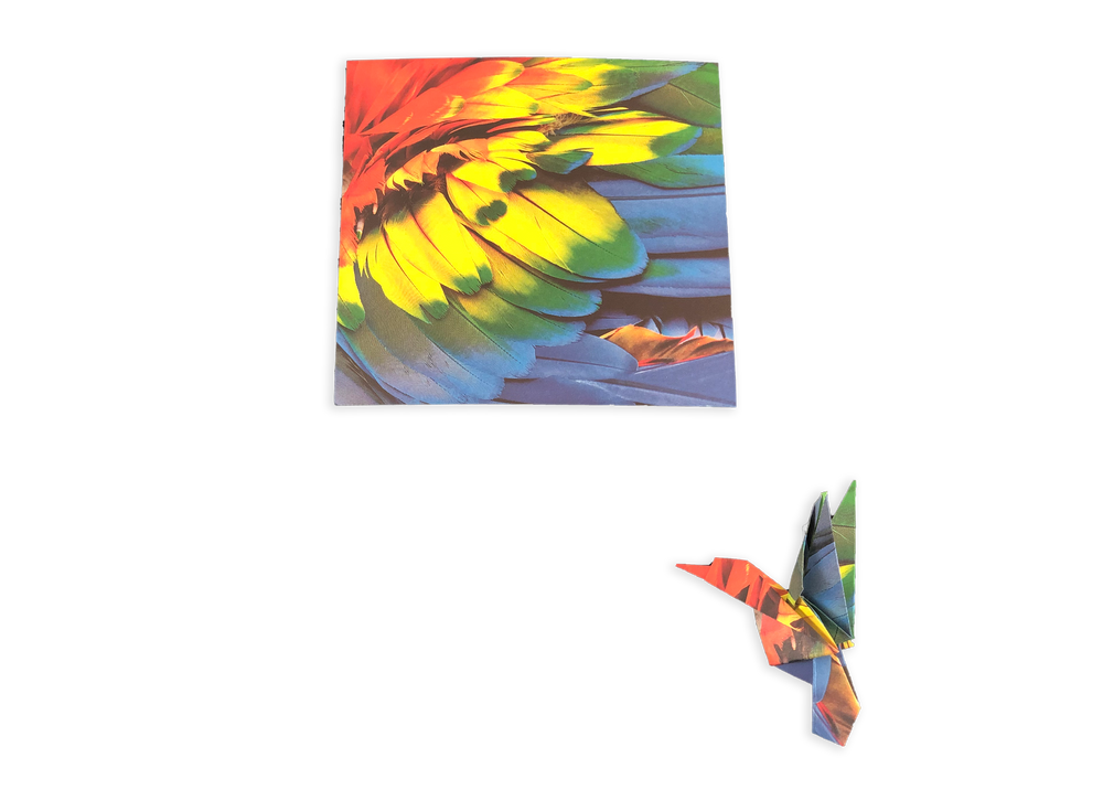 Tuttle | Origami Paper - 300 sheets Nature Photos