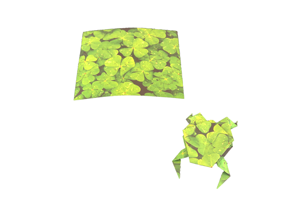 Tuttle | Origami Paper - 300 sheets Nature Photos