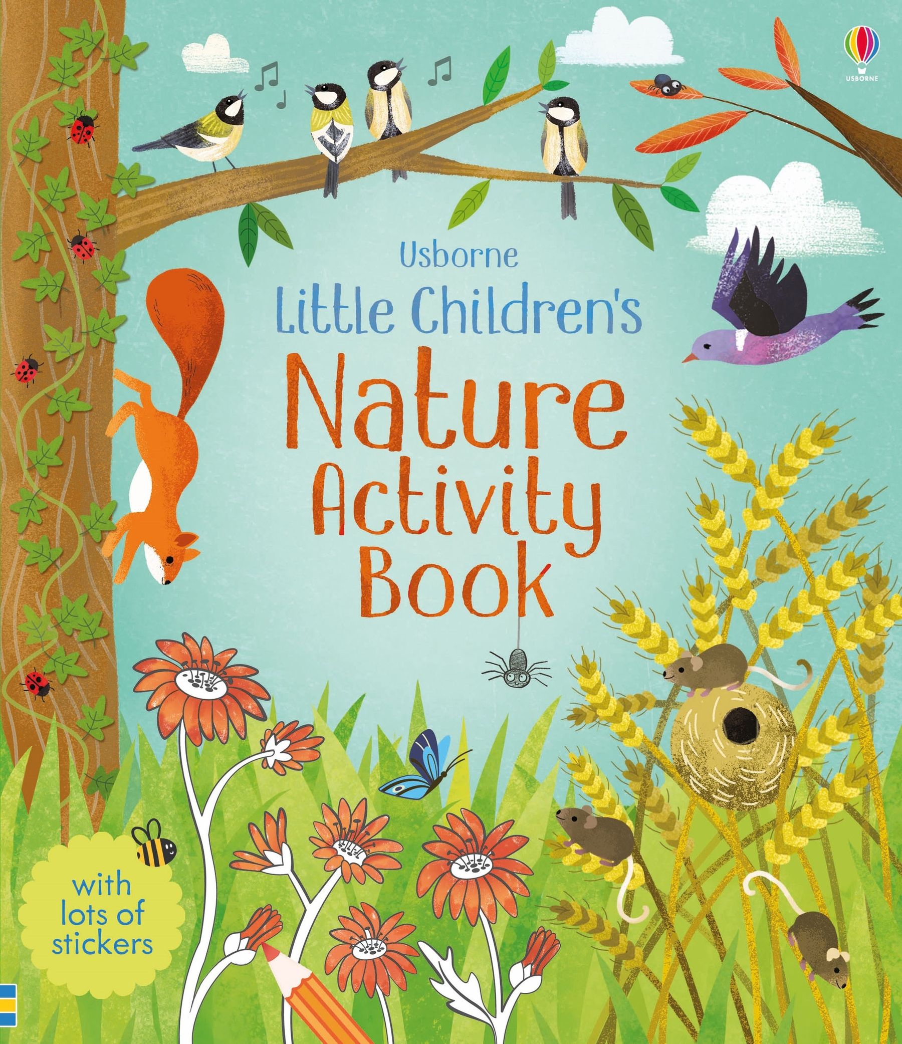 Usborne Books | Little Children's Nature Activity Book