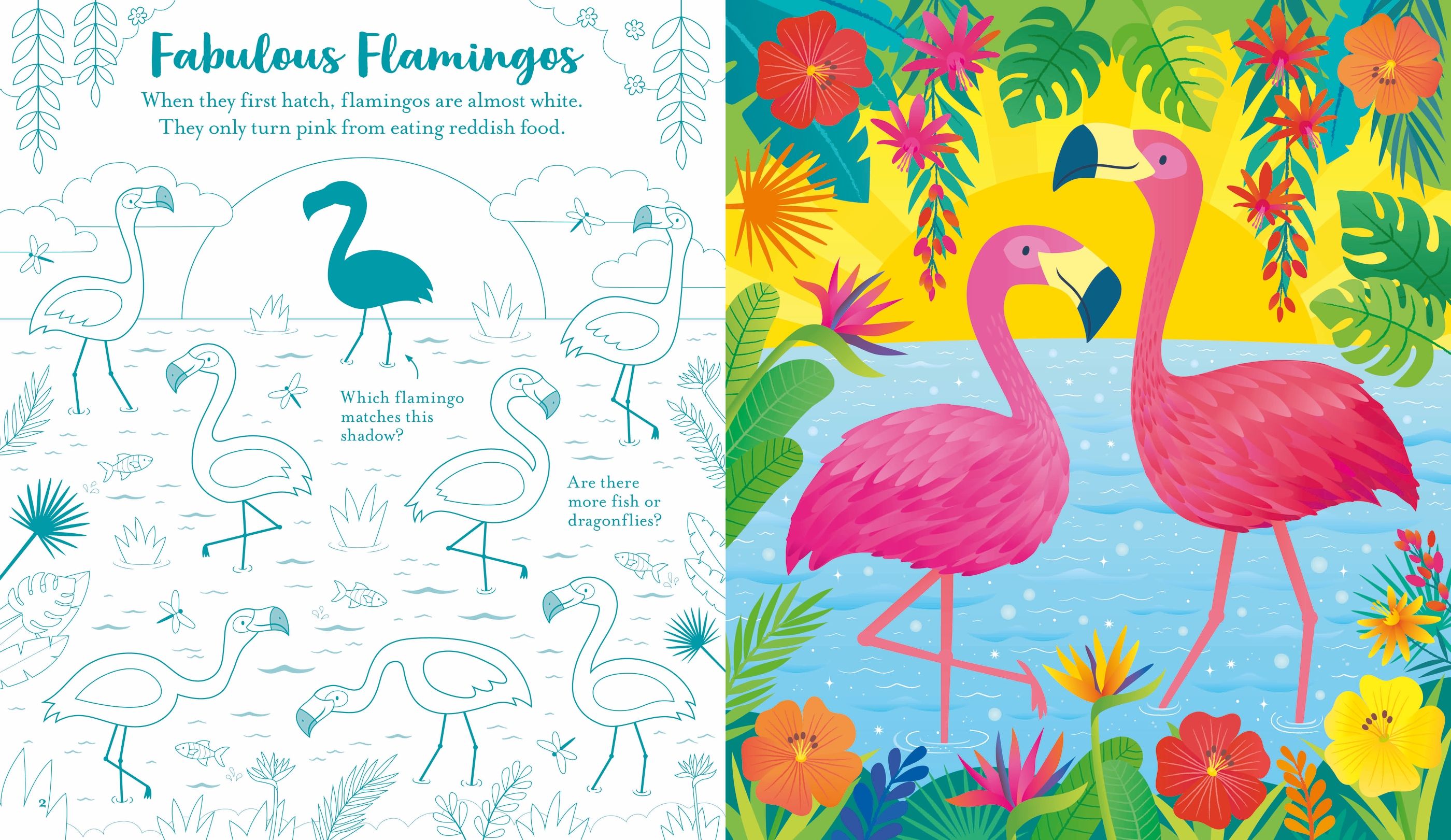 Usborne Books | Scratch Activities - Animals