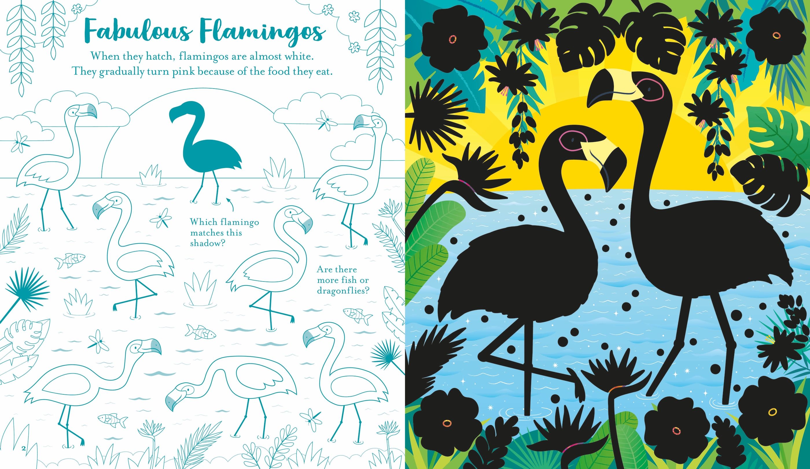 Usborne Books | Scratch Activities - Animals