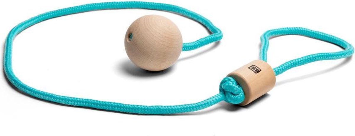 BS Toys | Ankle Swing
