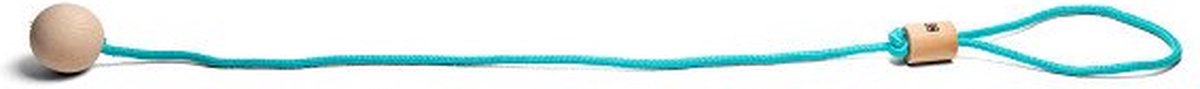BS Toys | Ankle Swing