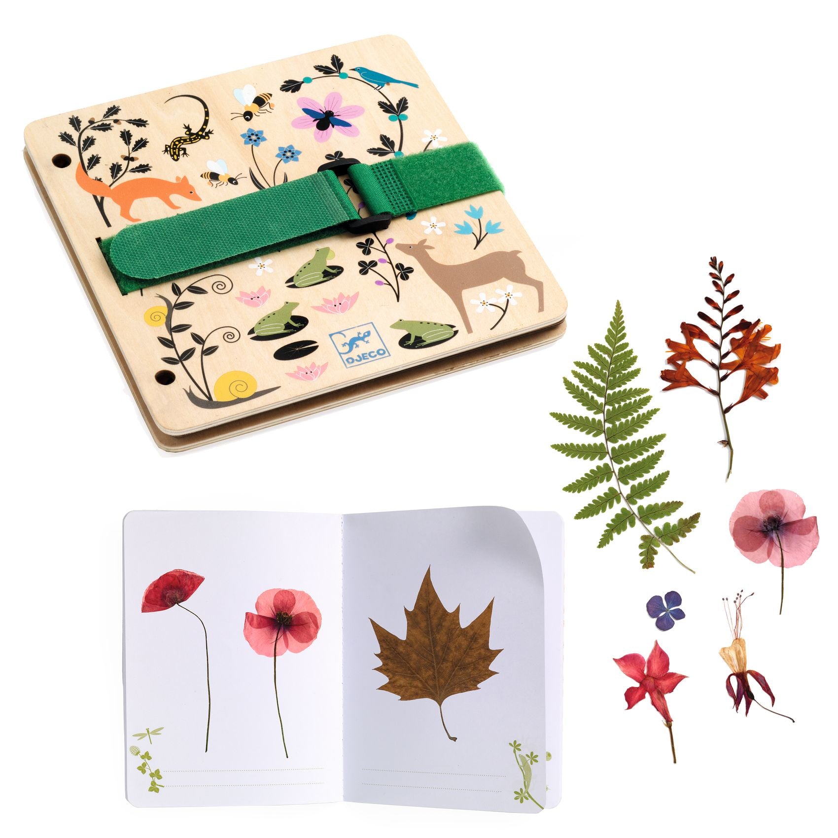 Djeco | DIY Kit - Budding Botanist Flower Press Kit