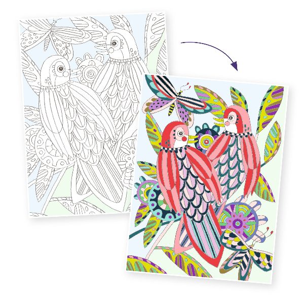 Djeco | Colouring Gallery - Birds