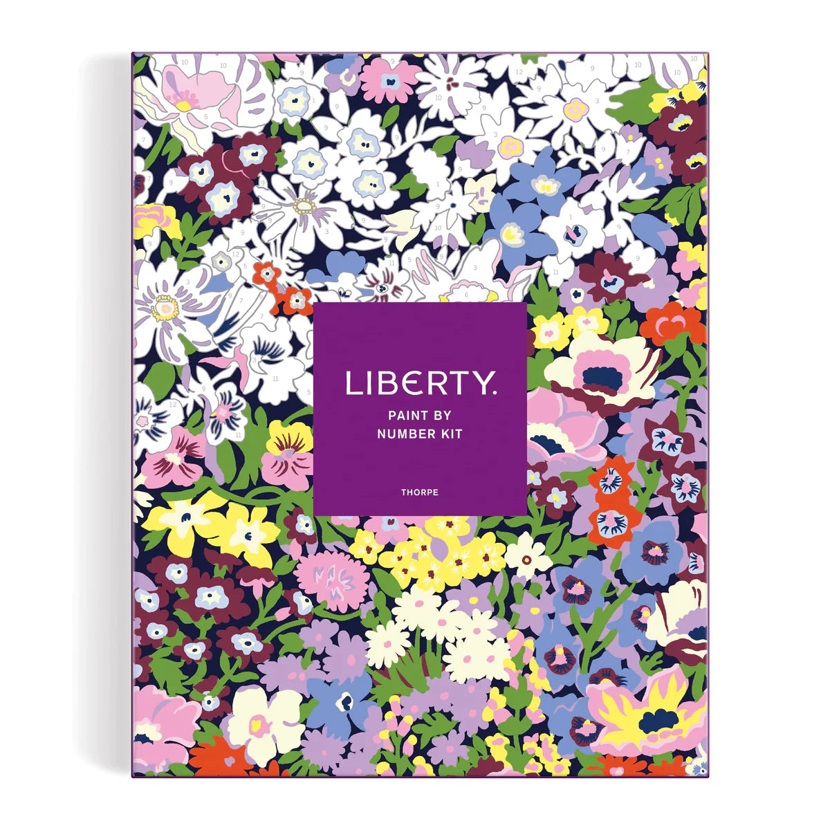 Galison | Paint by Numbers - Liberty Thorpe