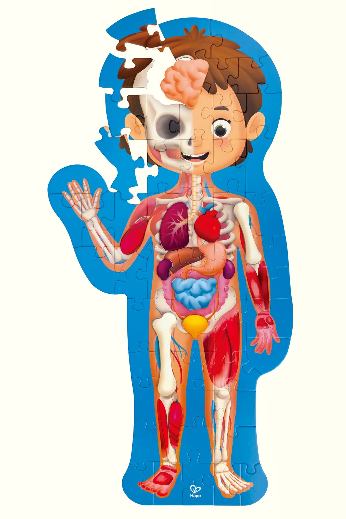 Hape | Human Body 50pc Puzzle