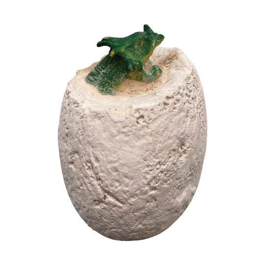 Mud Puppy | Excavation Kit - Dino Dig
