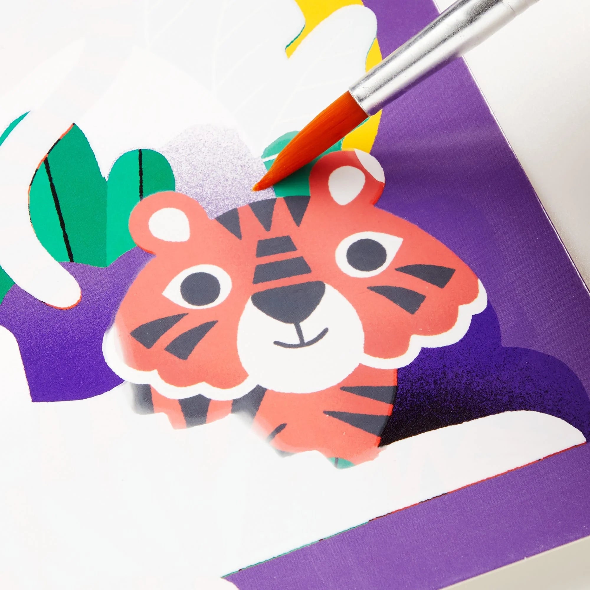 Mud Puppy | Colour Magic - Rainforest