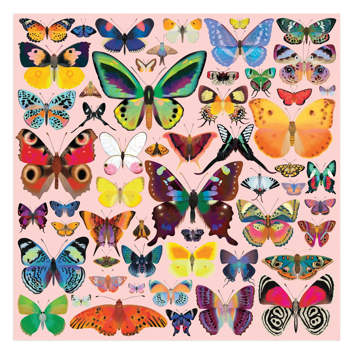 Mud Puppy | Brilliant Butterdlies - 500pc Puzzle