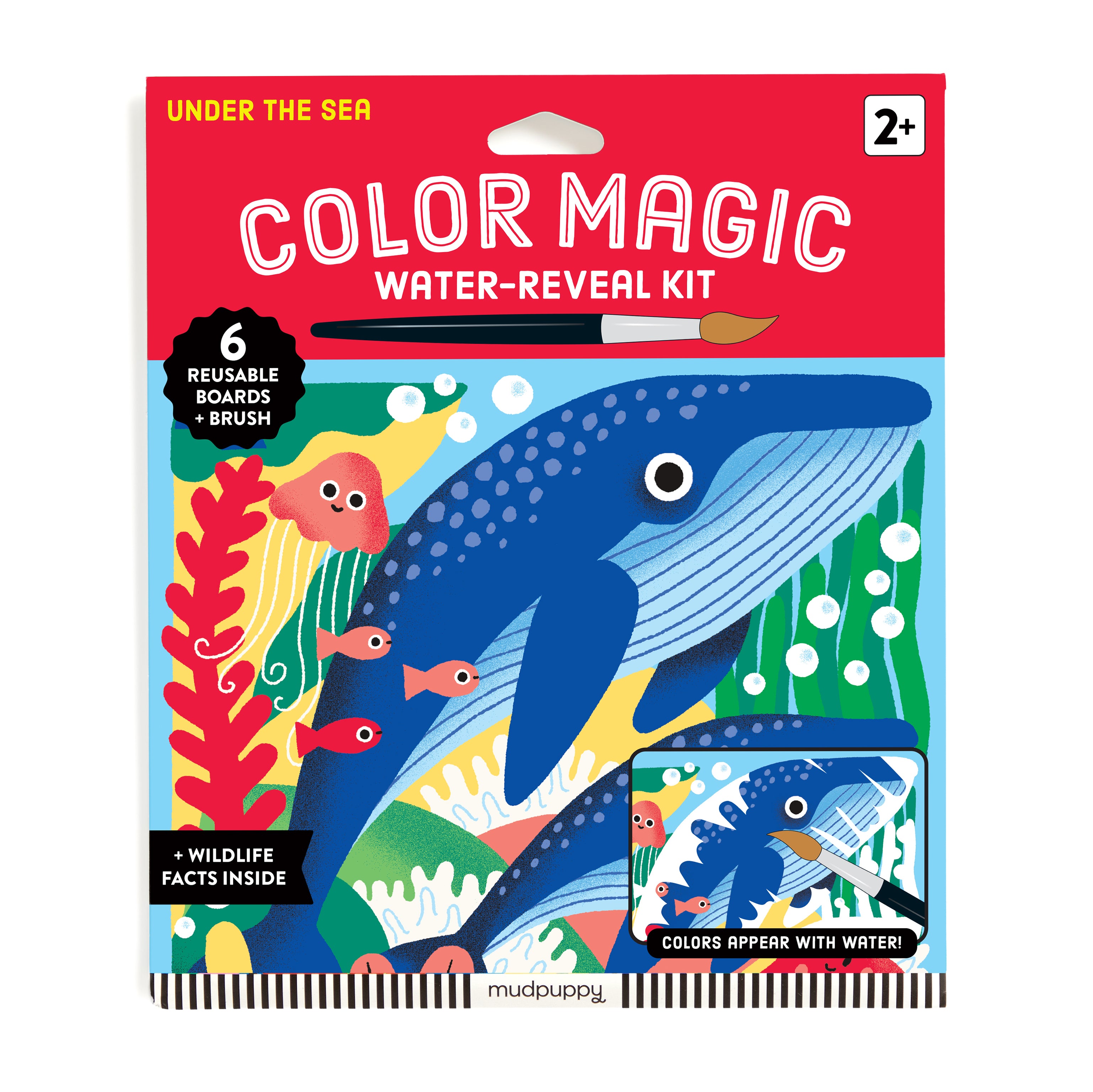 Mud Puppy | Colour Magic - Under the Sea