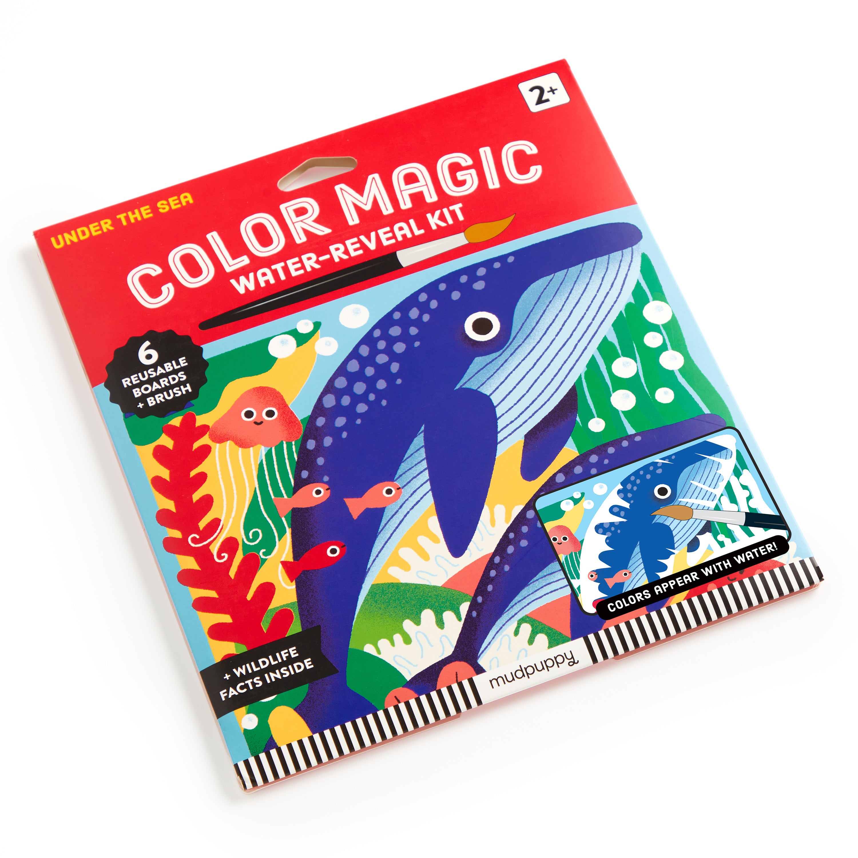 Mud Puppy | Colour Magic - Under the Sea