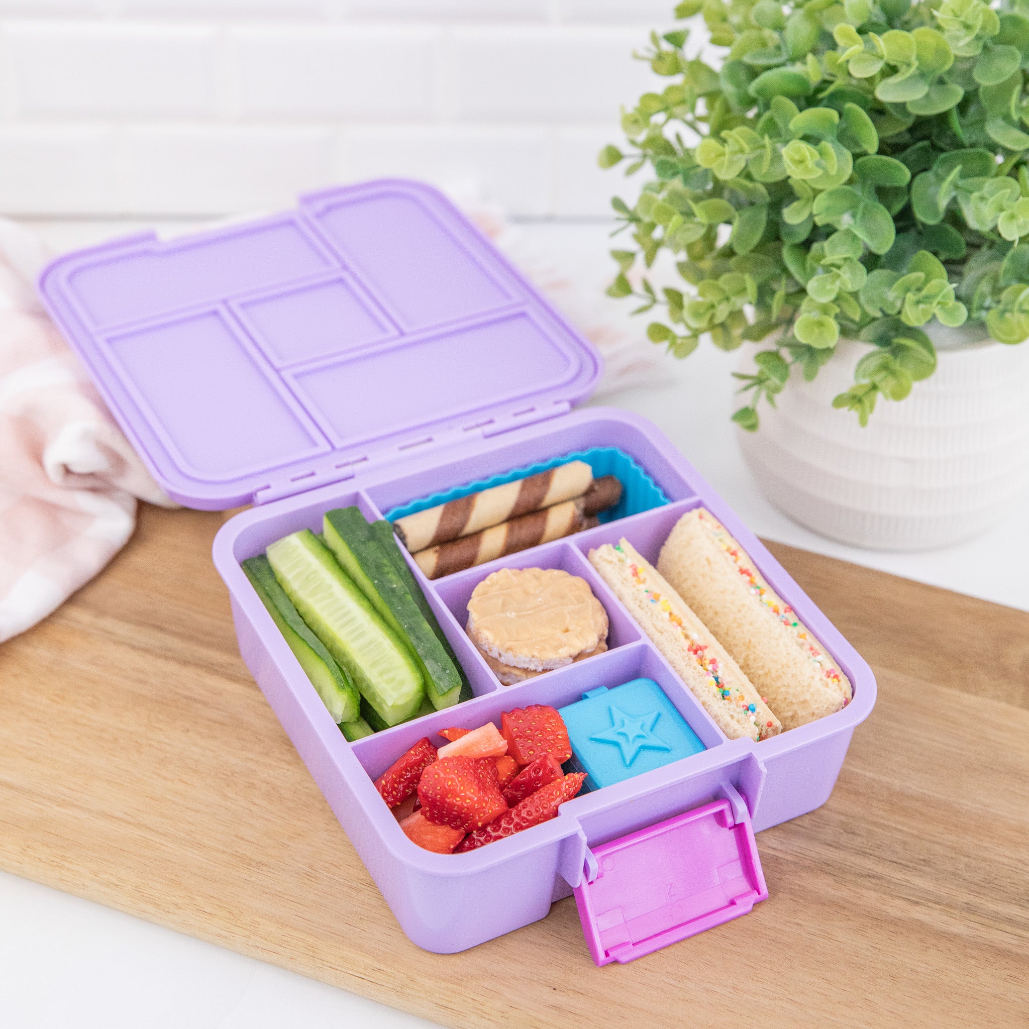 Montii | Bento Five - Lunchbox