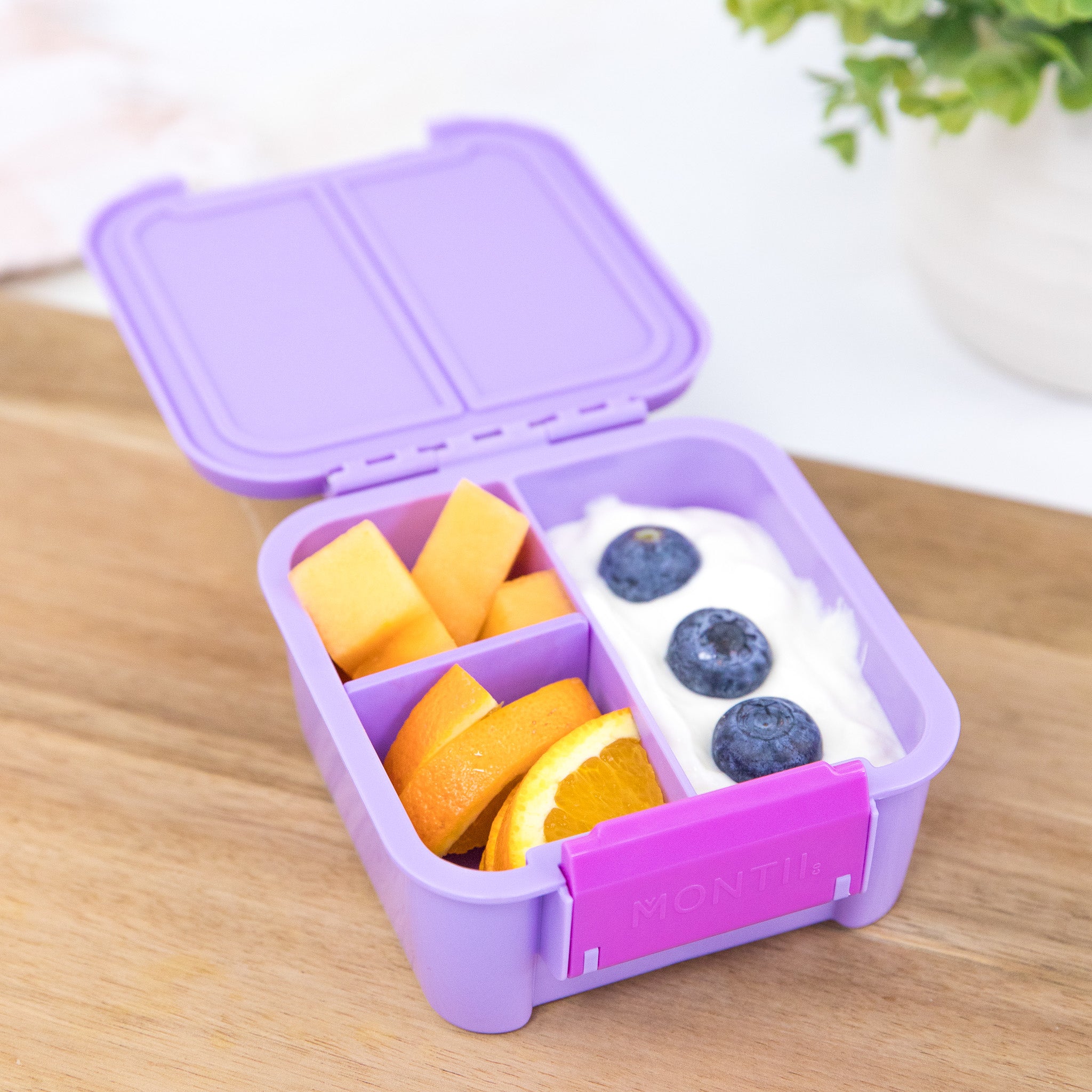 Montii | Bento Two - Snack Box