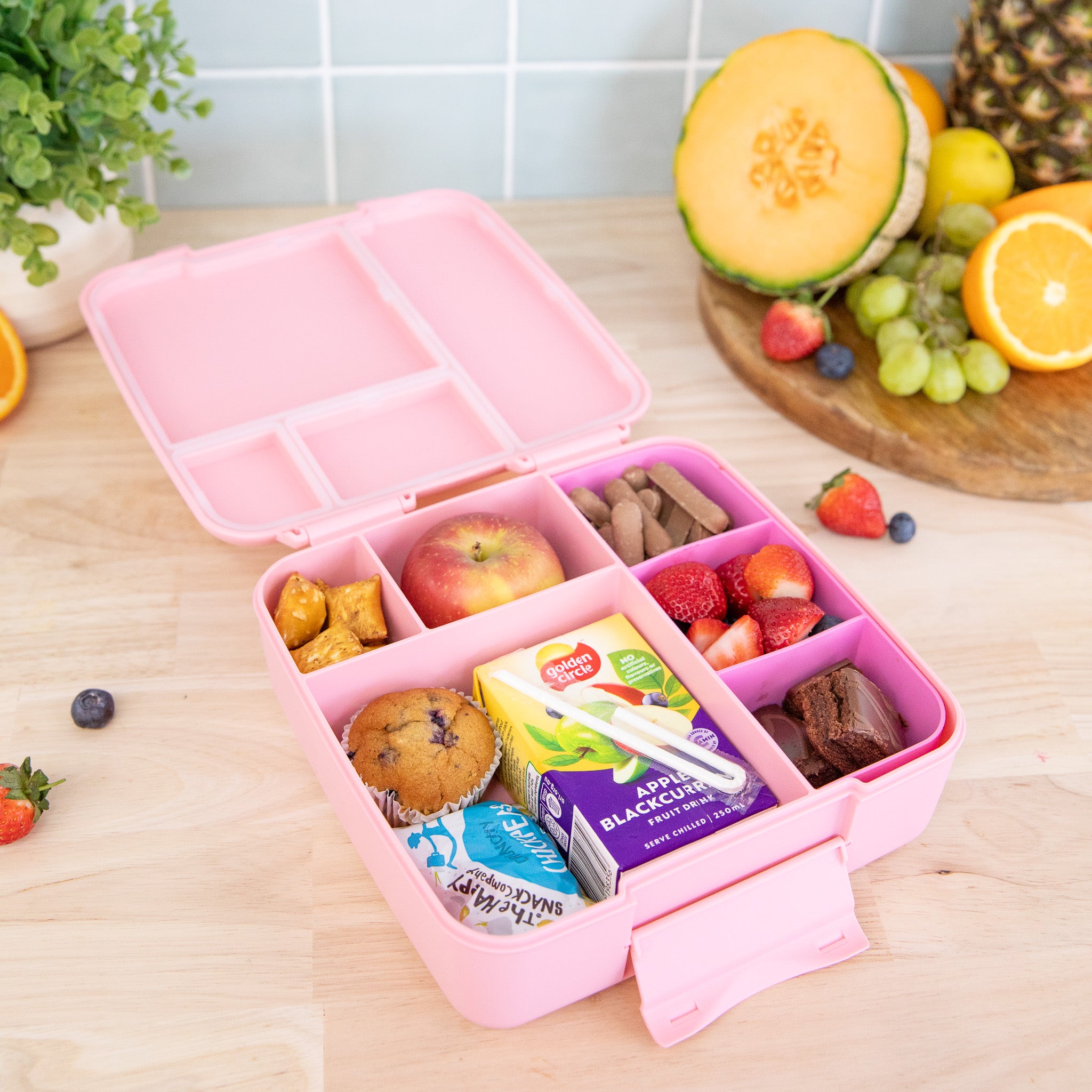 Montii | Feast Lunchbox