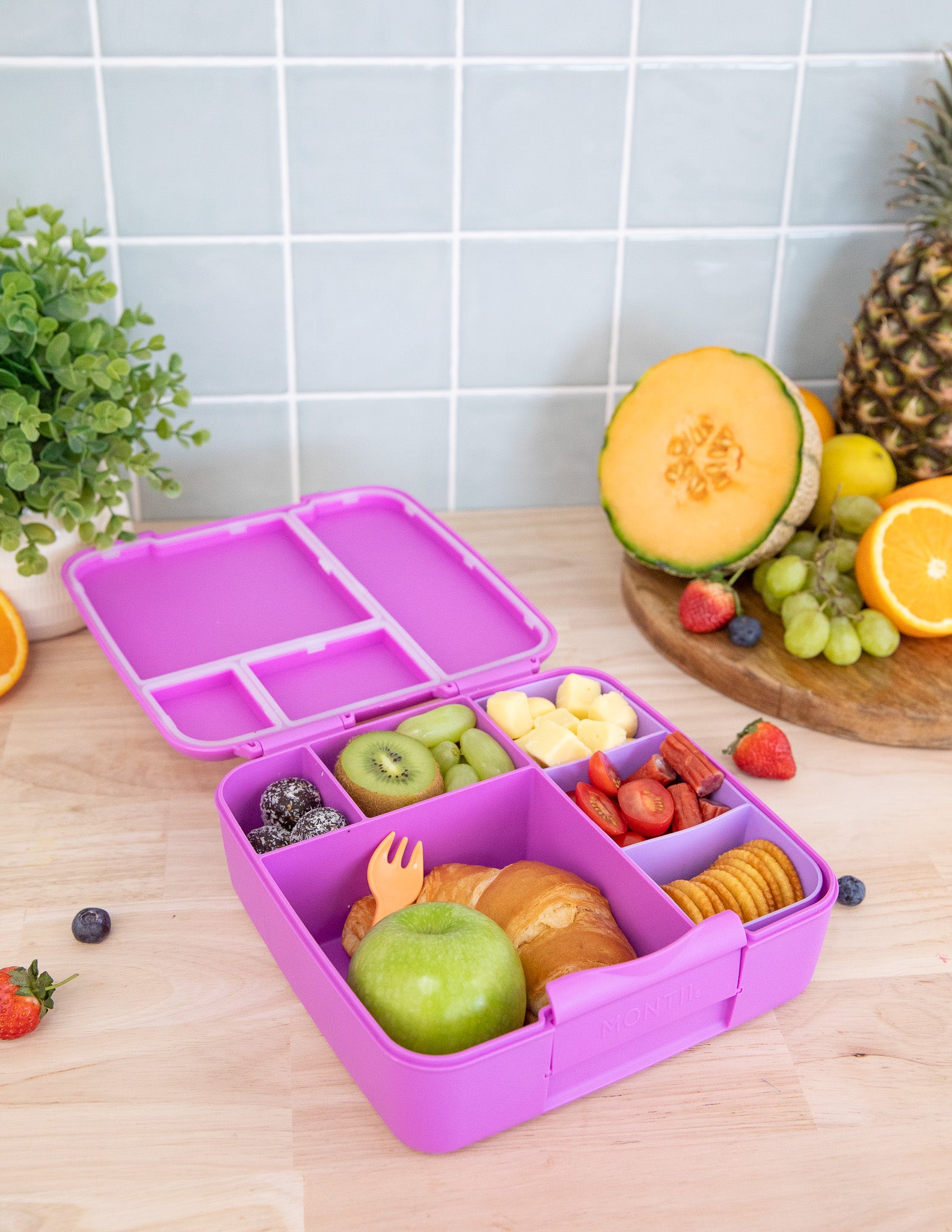 Montii | Feast Lunchbox