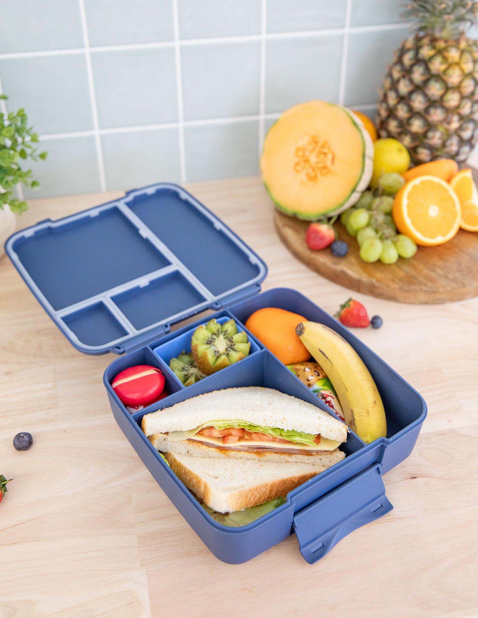 Montii | Feast Lunchbox