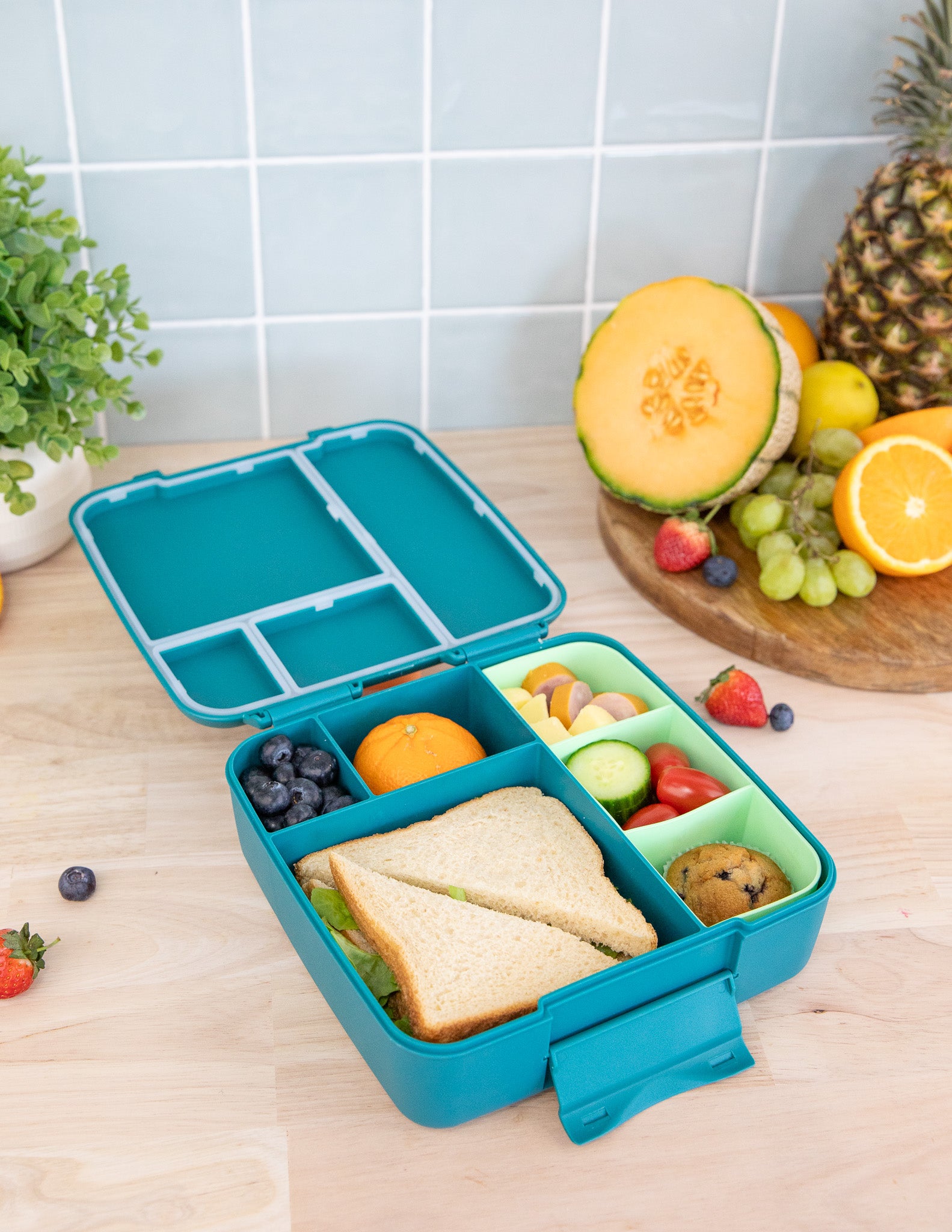 Montii | Feast Bento Tray