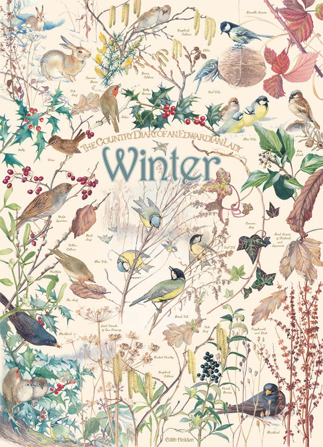 Cobble Hill | Country Diary - Winter 1000pc