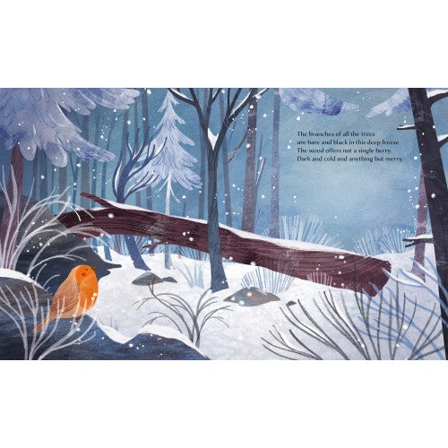 Sassi | Winter