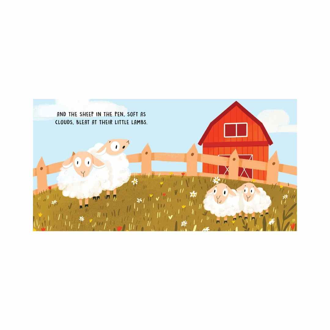 Sassi | Sweet Sound Stories - The Farm