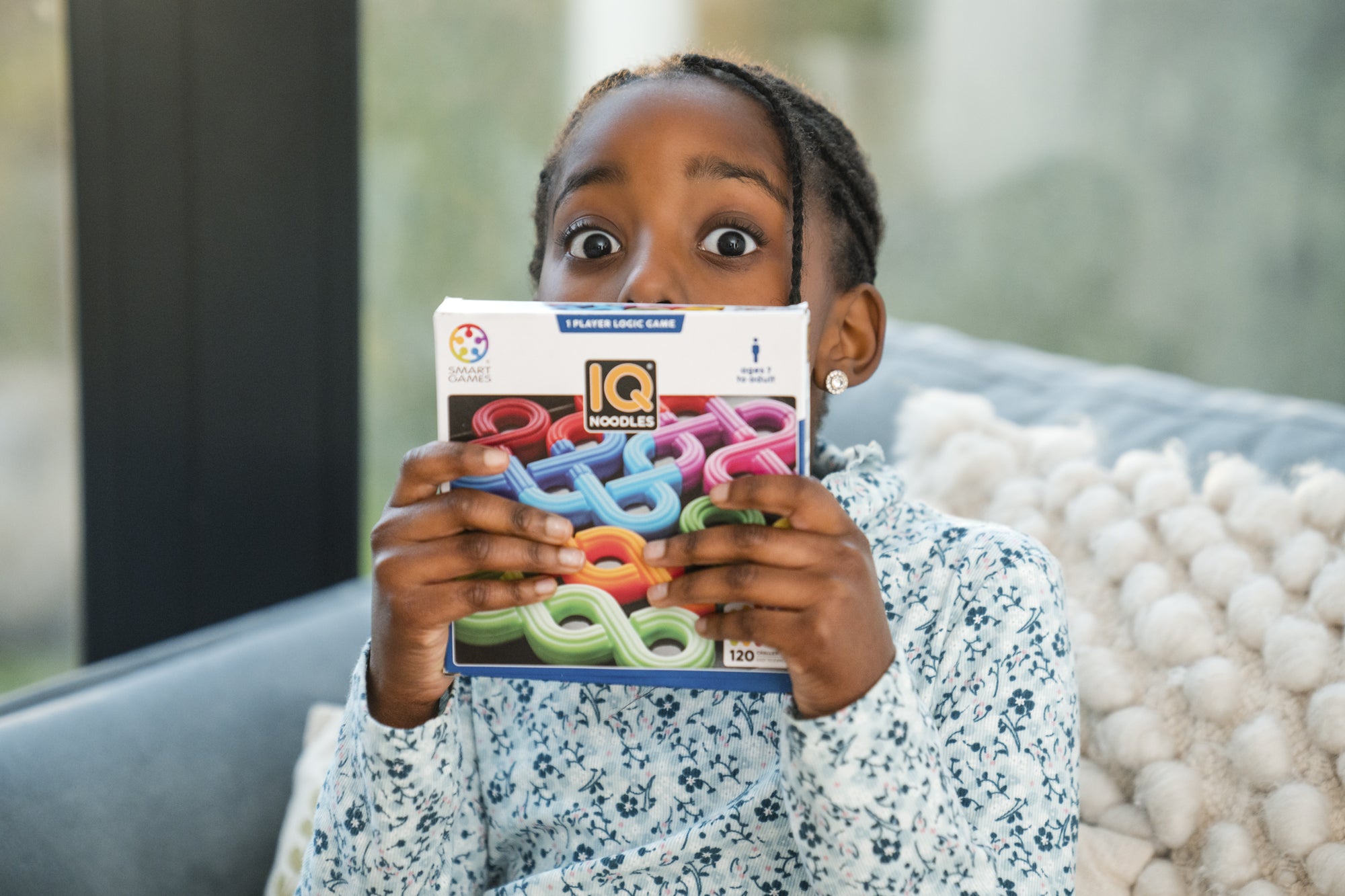 Smart Games | IQ Noodles
