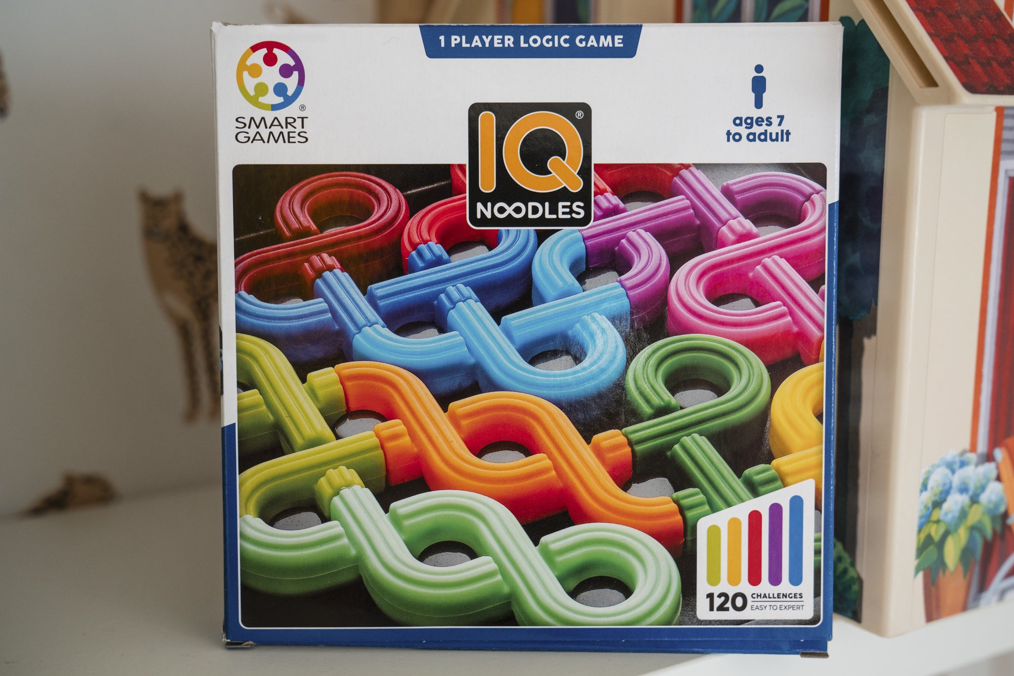 Smart Games | IQ Noodles