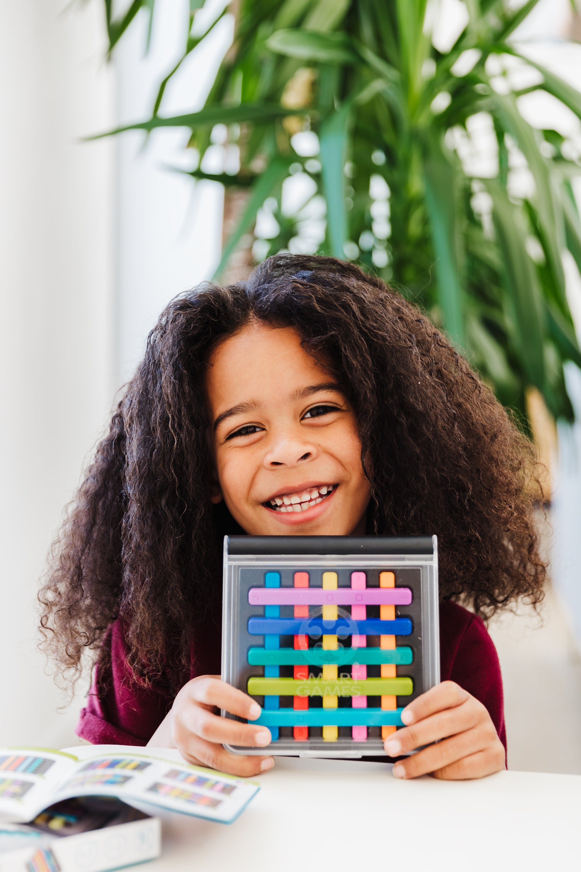 Smart Games | IQ Stixx