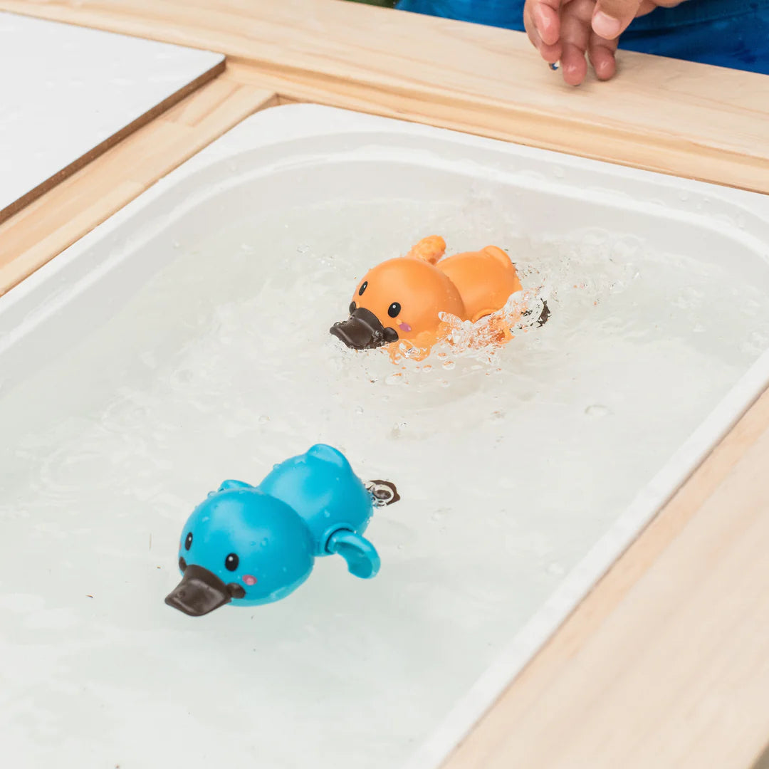 Tiger Tribe | Bath Racers - Platypus