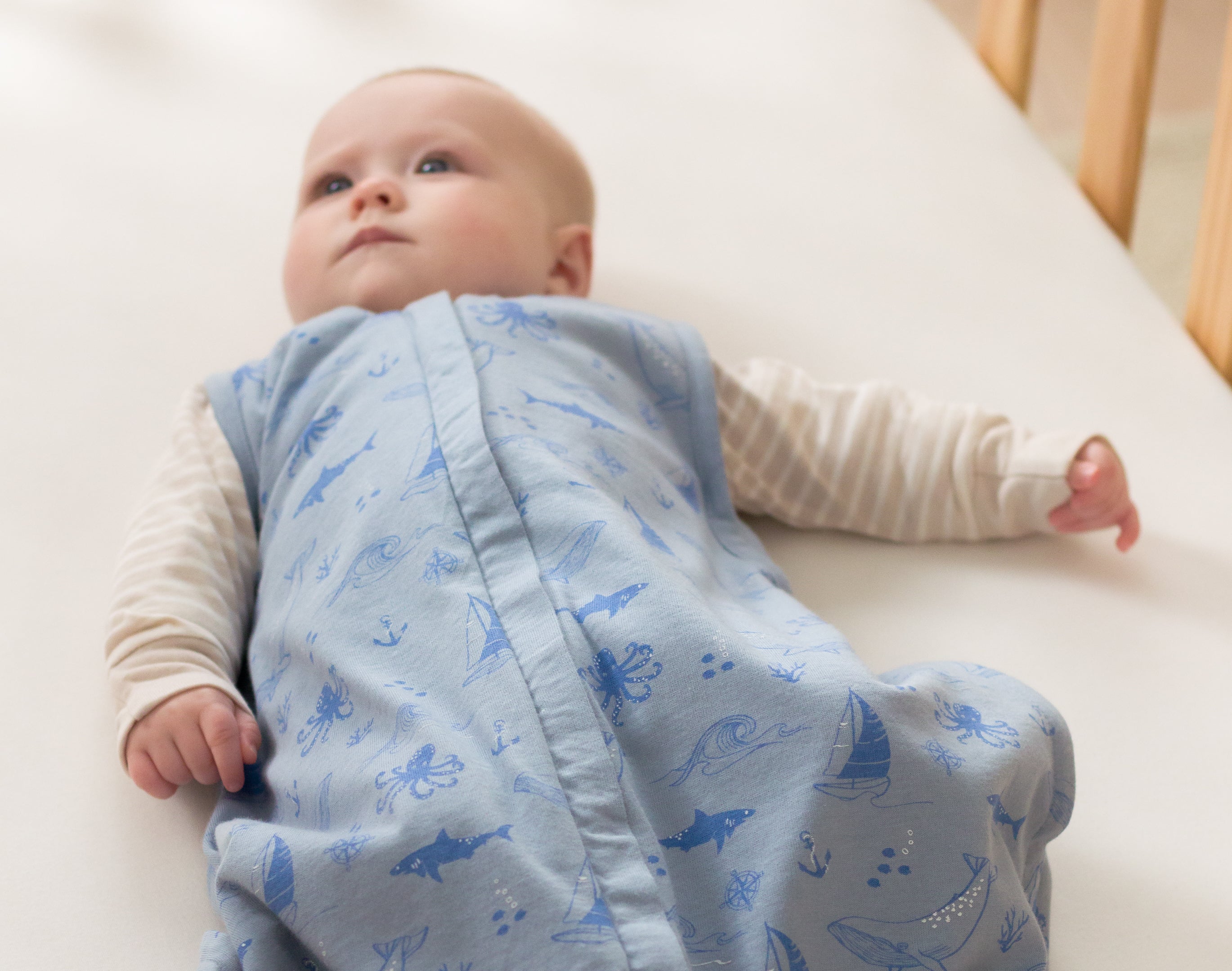 Woolbabe | 3 Seasons Sleeping Bag - Glacier Sail Away