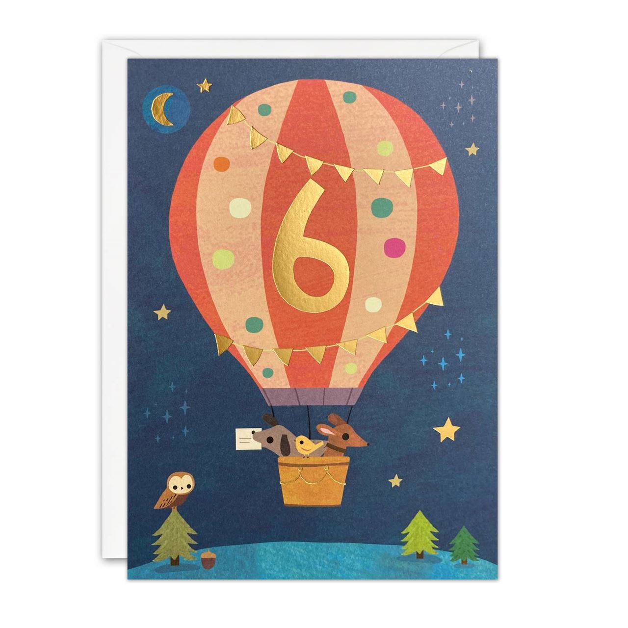 Hot Air Balloon Birthday Card - Age 6