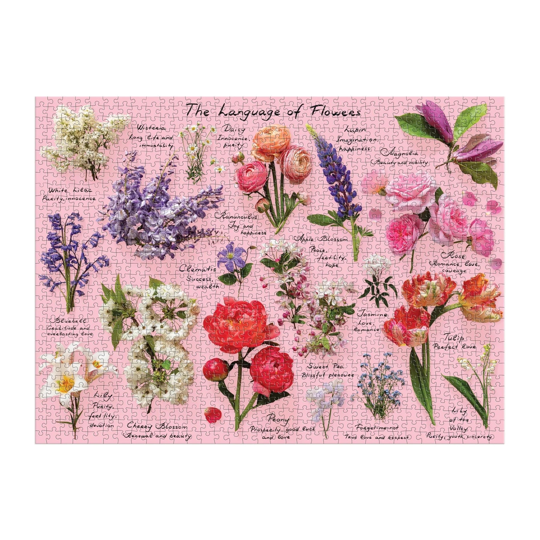 Galison | 1000pc Puzzle - Language of Flowers