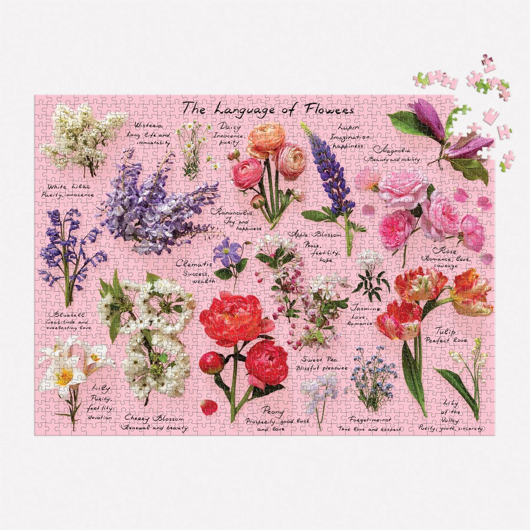 Galison | 1000pc Puzzle - Language of Flowers