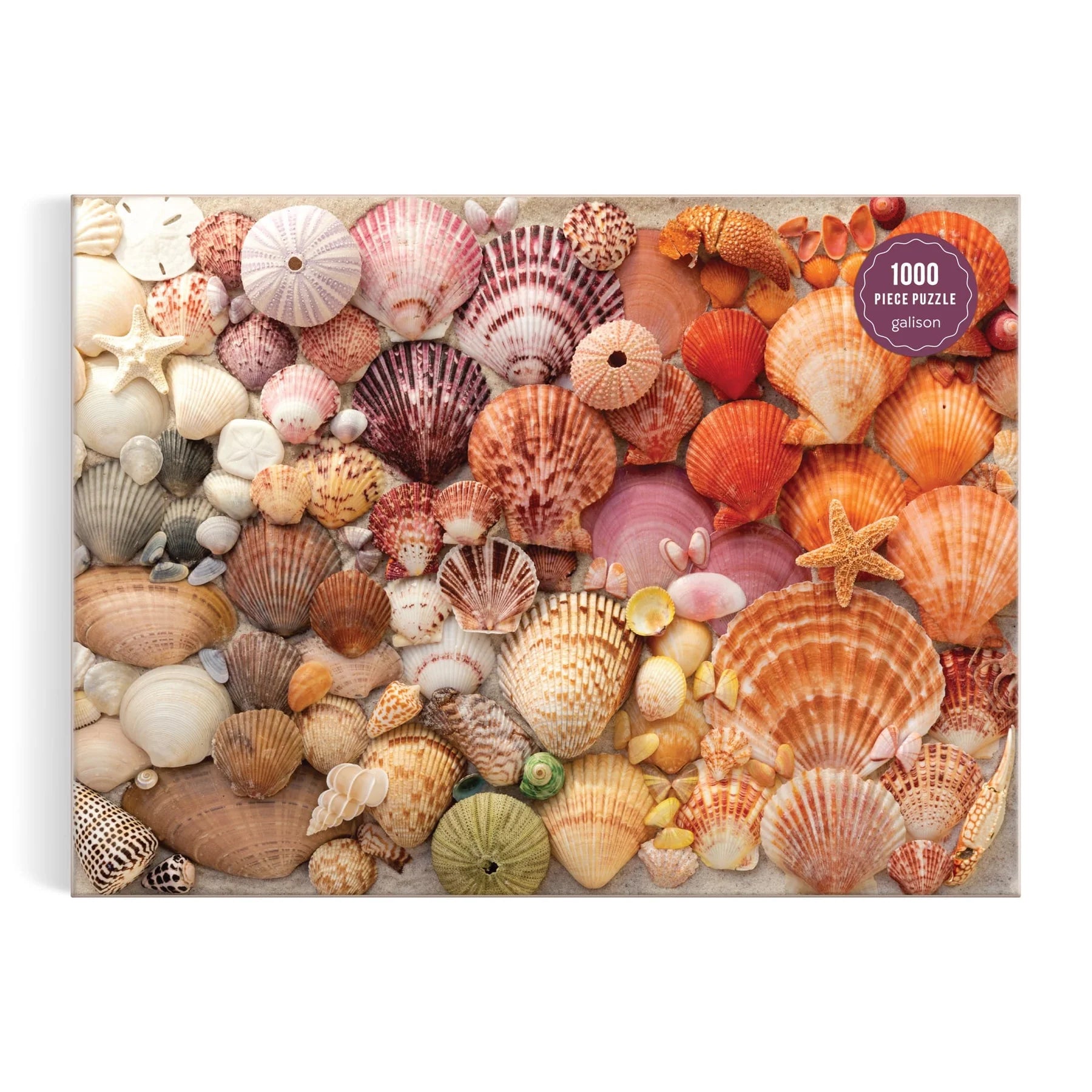 Galison | 1000pc Puzzle - Vibrant Seashells