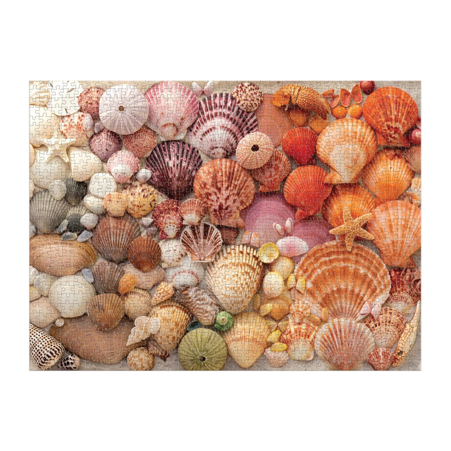 Galison | 1000pc Puzzle - Vibrant Seashells