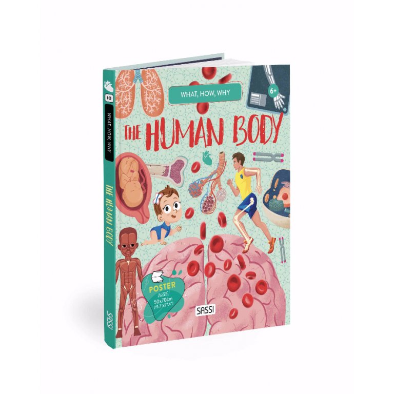 Sassi | What, How, Why - The Human Body - Book & Poster