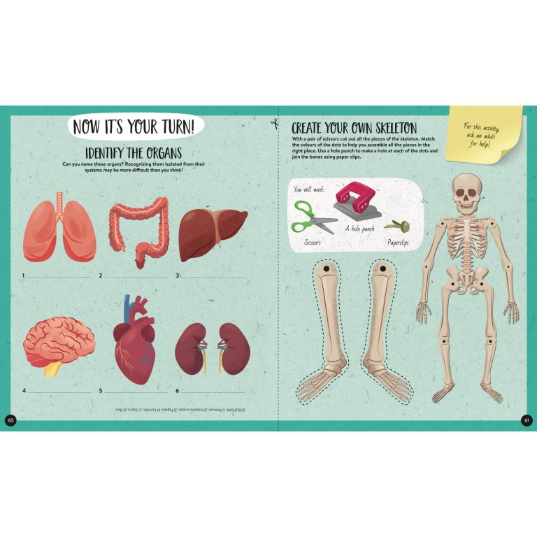 Sassi | What, How, Why - The Human Body - Book & Poster