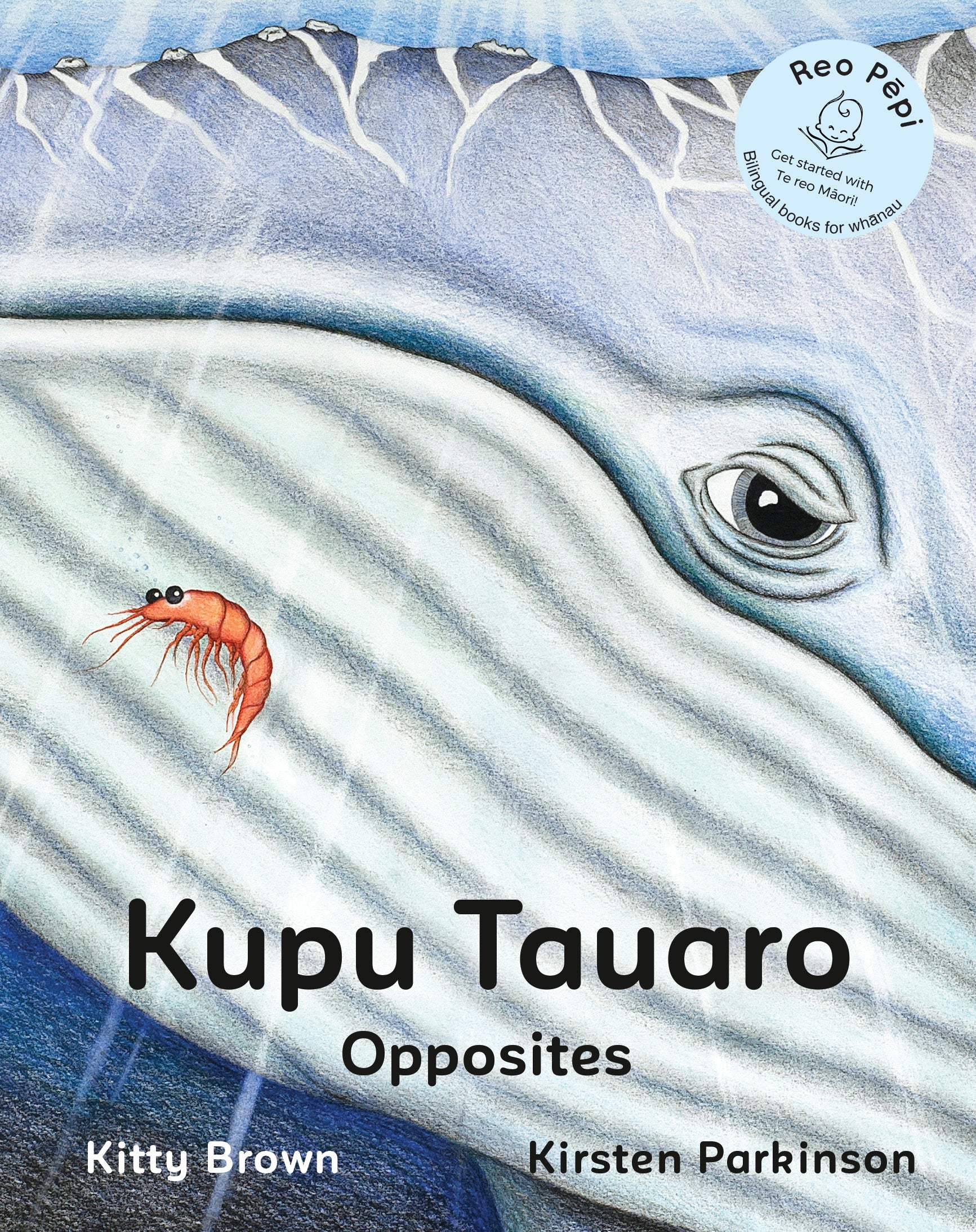 Kupu Tauaro | Opposites